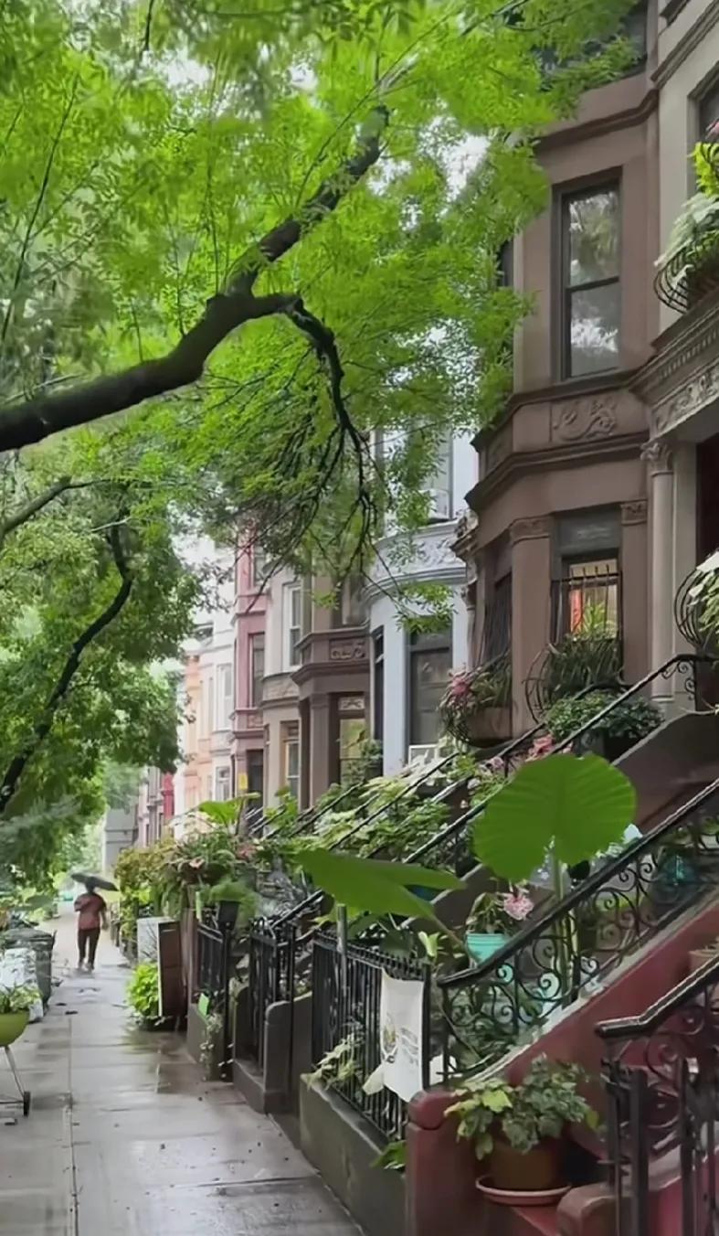 2025.1.25
光伏设备捷佳伟创发布2024年财报预报，净利润增长48%～8