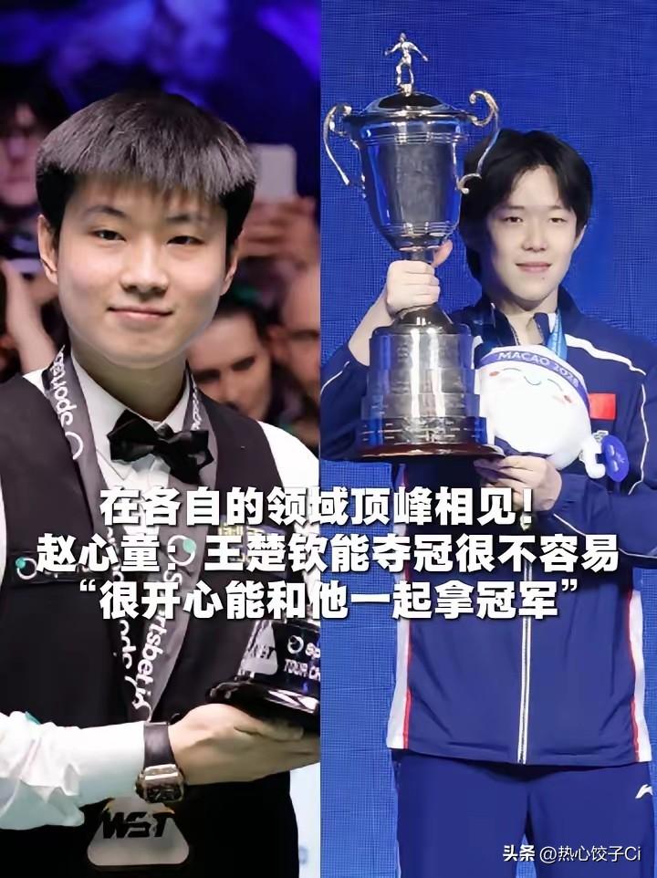 赵心童夺2026斯诺克巡回锦标赛冠军！他说到王楚饮，我们刚刚还聊天。我也恭喜他第