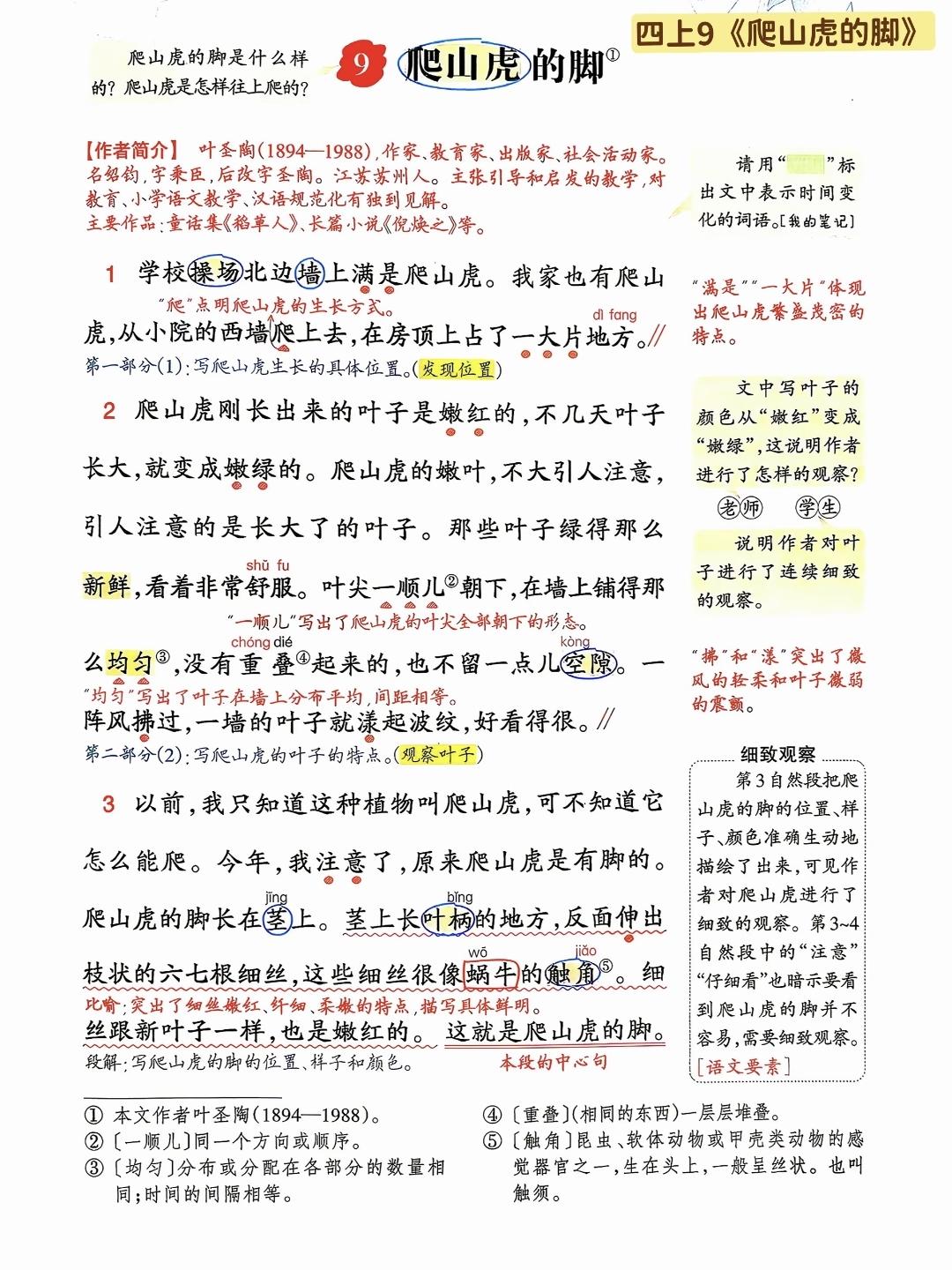 四年级上册语文，第三单元阅读9《爬山虎的脚》课堂学习笔记，收藏预习~