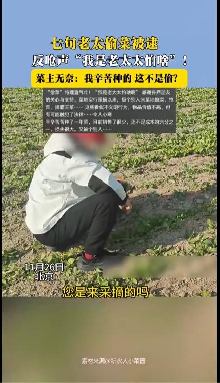 老太太的行为肯定不对应该受到批评和谴责，但土地承包者也没必要过度向老太太维权。这