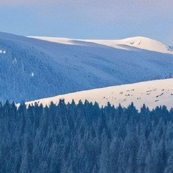 阳光信用‎阳光‎信用 ‎每日一善 慈心为民，善举济世。 无缘大慈，同体大悲。 众