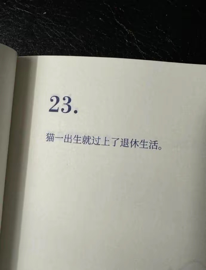 羡慕一只猫🐱 