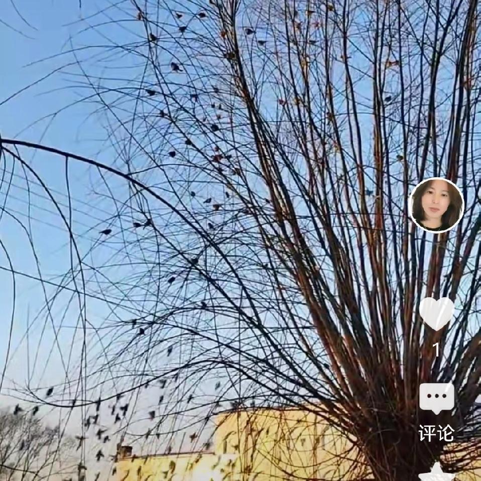 辽宁盘山县4名幼师被拘留，为幼儿园教育敲响了警钟
最近，辽宁省盘锦市盘山县某幼儿