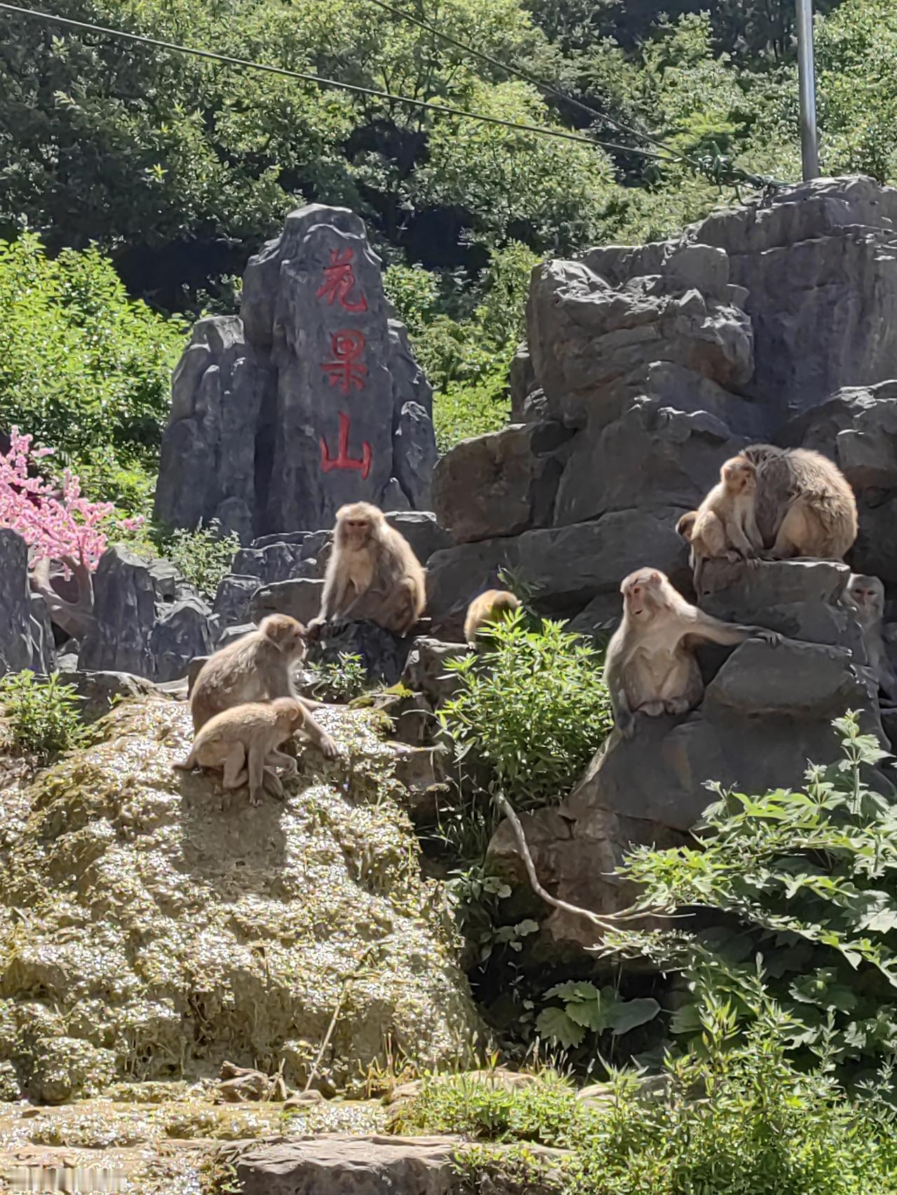 夏日生活打卡季