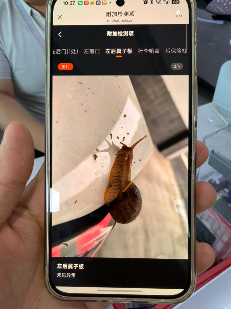 检测技师的浪漫左后叶子板未见异常不需要拍照的但他拍个蜗牛🐌[嘻嘻][嘻嘻] ​