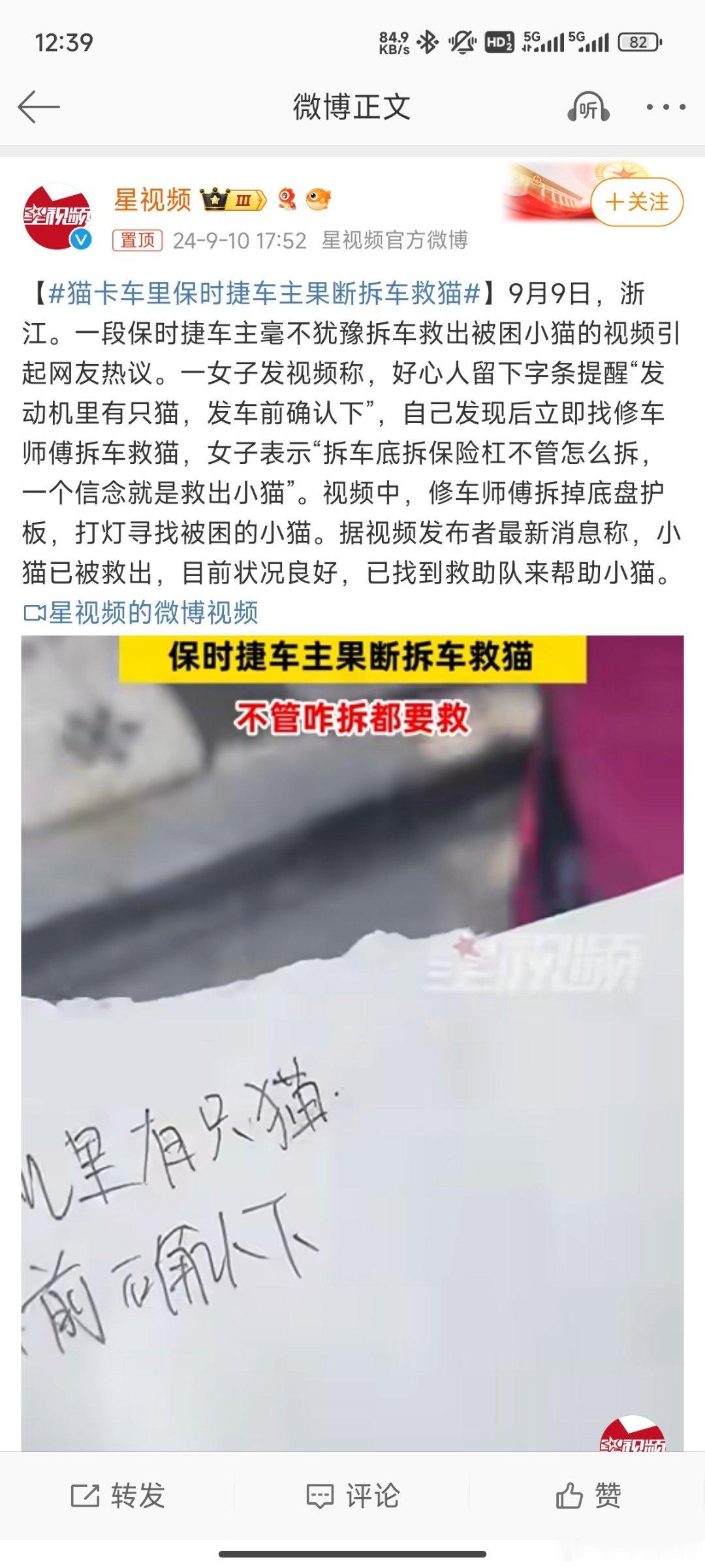 #猫卡车里保时捷车主果断拆车救猫#我家里也有养一只小猫咪，出差两天就会很想它[污