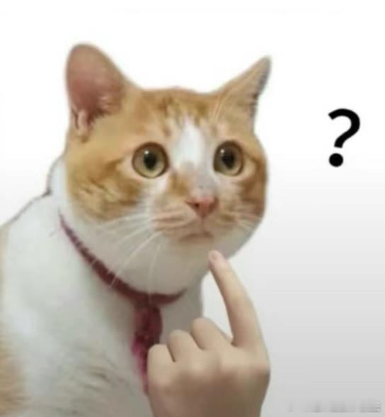 沙一汀：我？一觉醒来天塌了，大家放过这个沙一汀吧，这俩名字放一起就是离谱的程度[
