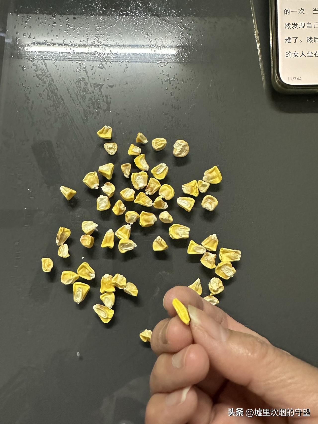 前几天抽空把院子整理出来，想种些什么，考虑到自己每天上班，没有多少时间去管理菜地