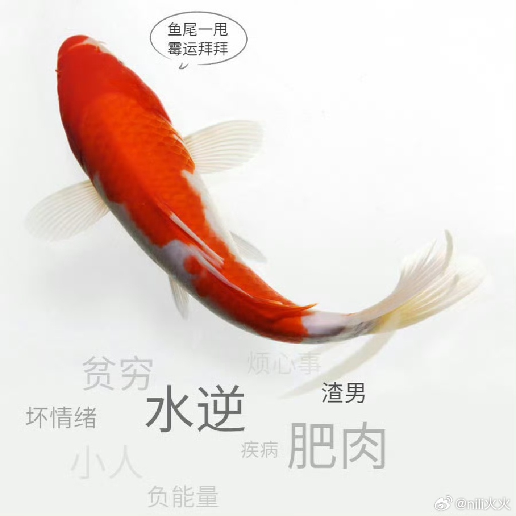 2026年上半年最后一天，和所有不好的说拜拜👋👋👋。下半年全是好运和顺遂我
