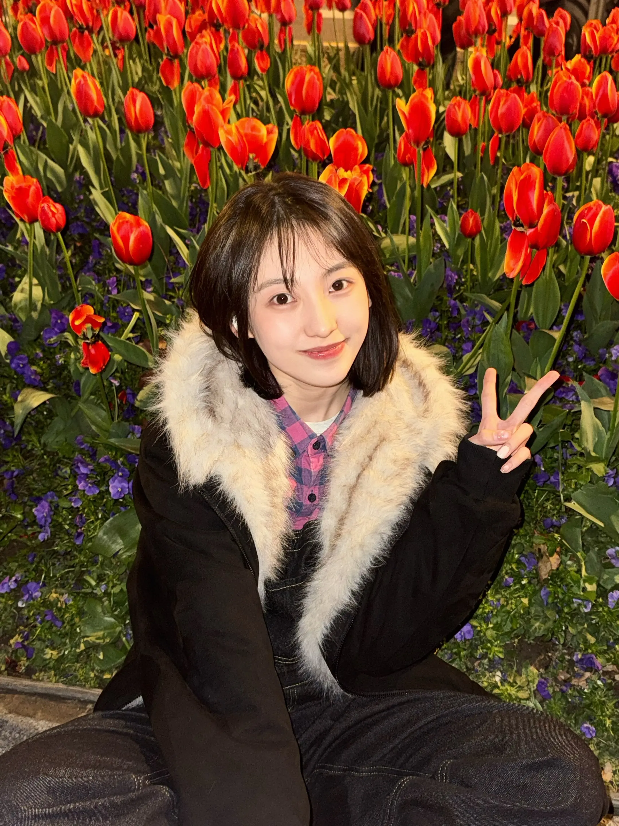 城北的花开了几个冬夏，城南的你还好吗