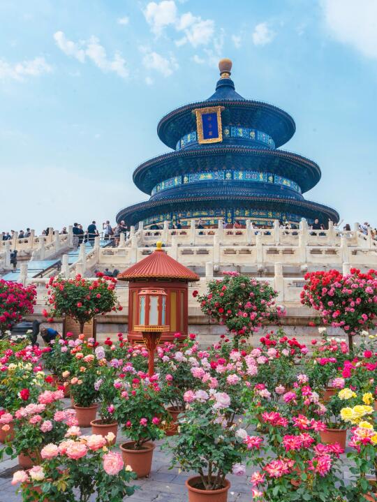 人生建议！五月一定要来一次天坛！