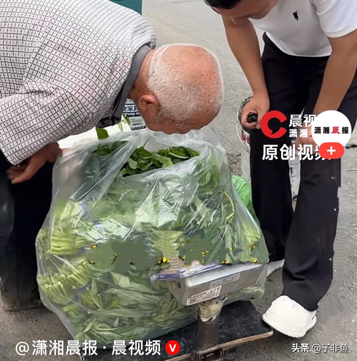 近日，河南登封一位暖心助农博主，在街上偶遇81岁高龄的老爷爷，这么大年纪还独自摆