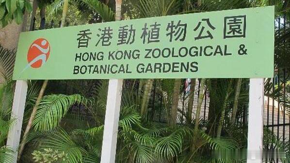 【香港动植物公园再多一只白臀长尾猴死亡 不到10天已死亡12只】康乐及文化事务署