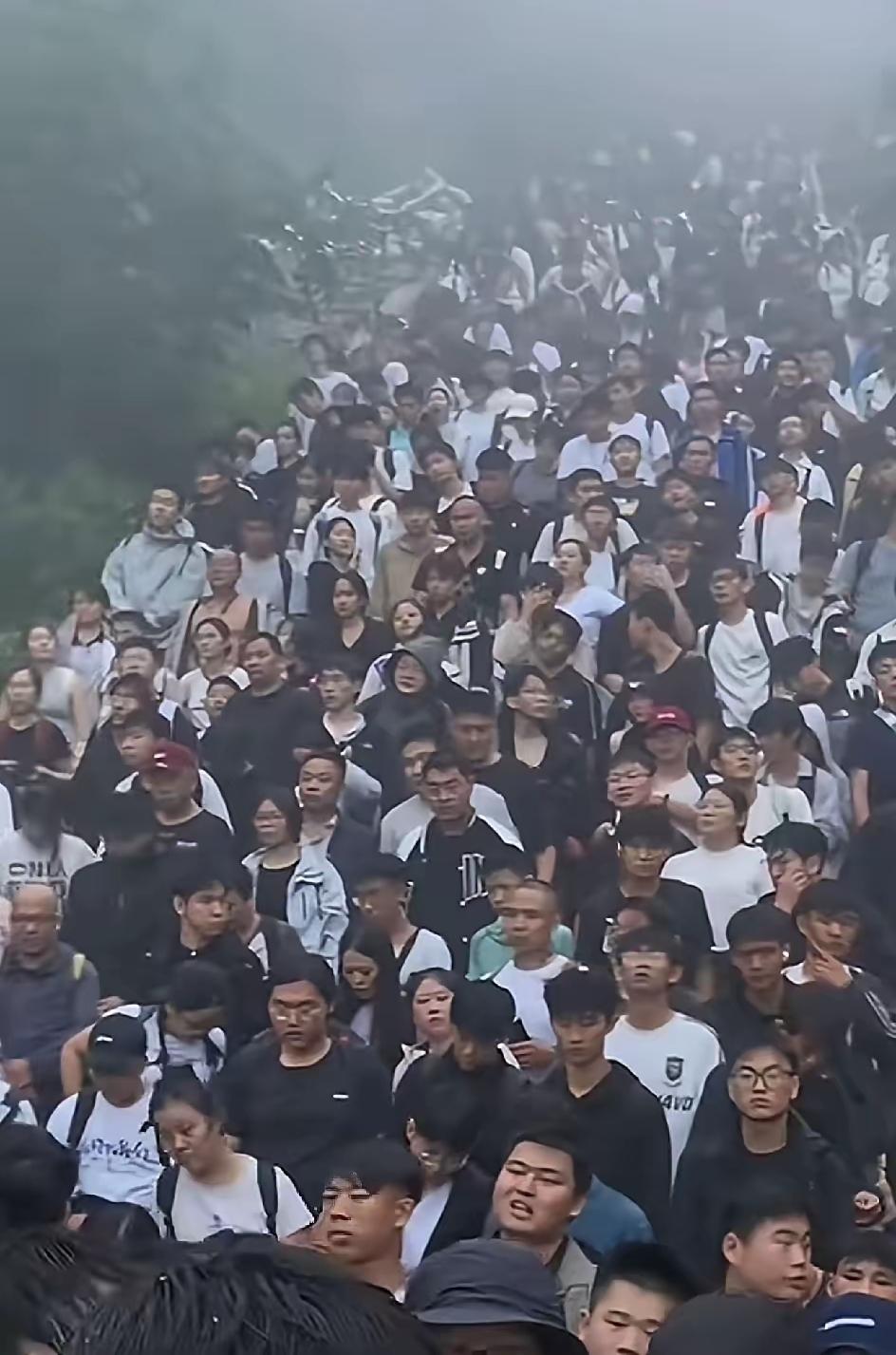 国庆爬泰山的人也太真实了！

   不上去不死心，

    上去直接“死心”，
