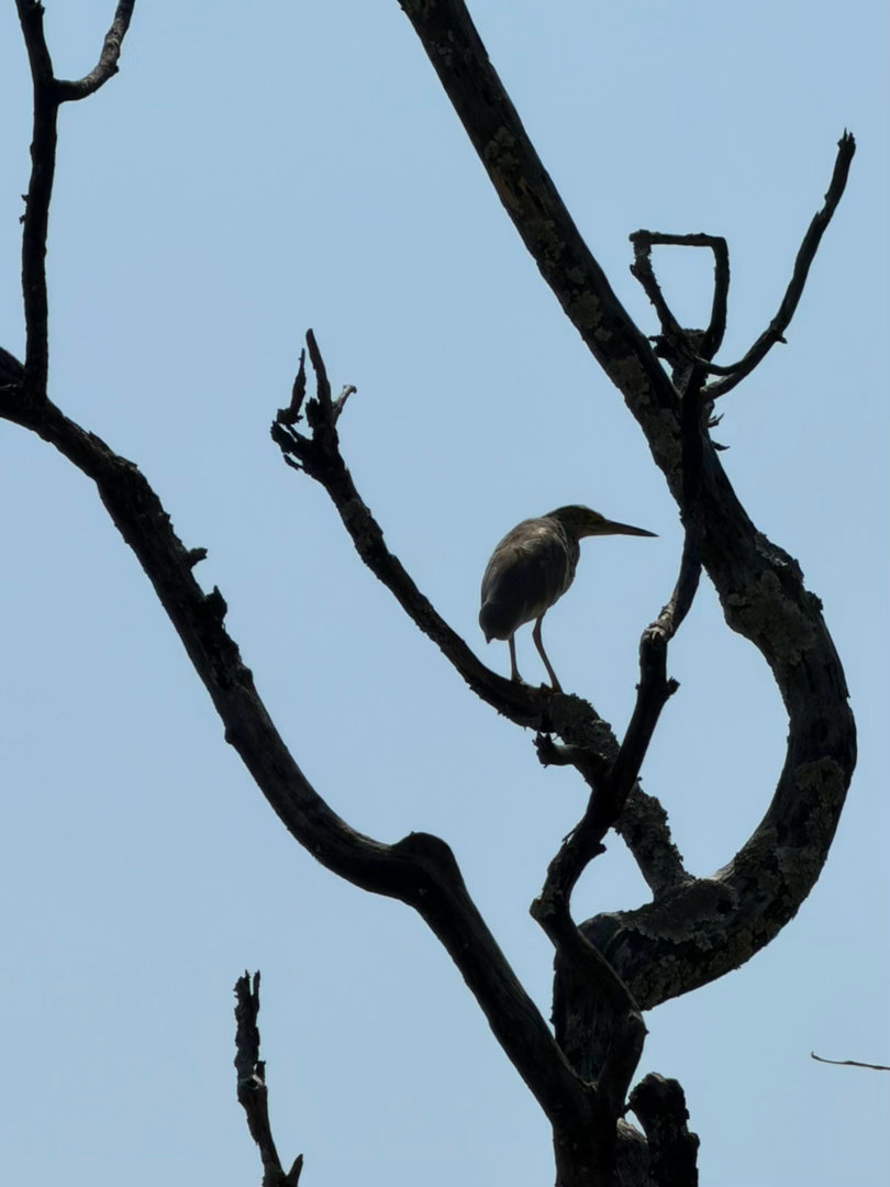 所有的人生问题，并不源于不能改变世界、不能改变环境、不能改变他人，而是源自于：无