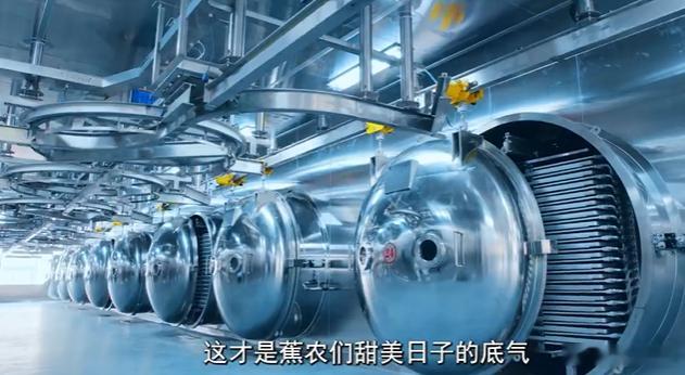 总台城市甜美大会漳州的甜藏得很实在，从蕉林到海边，从田间到工厂，每一处都在说，好