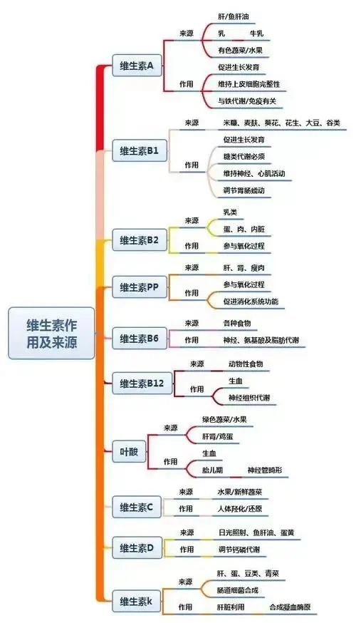 维生素ABCDEK的作用