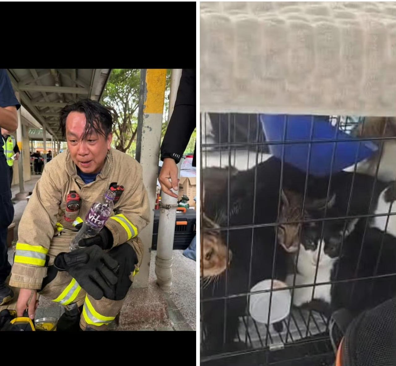 火灾中毛孩子们没有被放弃，致敬每一位守护生命的消防员！