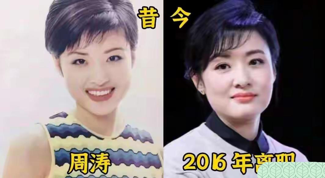 人人艳羡的央视平台，在外人眼中是妥妥的金饭碗，汇聚无数优秀主持人。可依旧不少人选