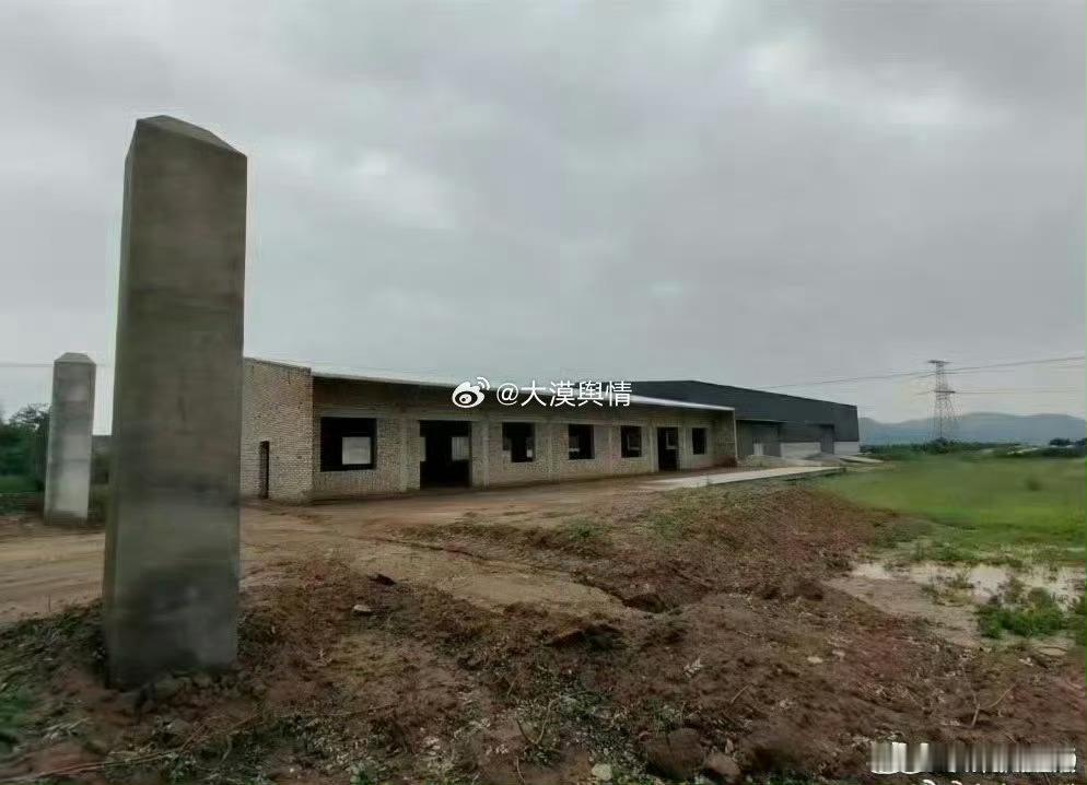 2026年6月6日下午13时左右，笔者途径陕西省渭南市蒲城县“某”镇时，发现道路