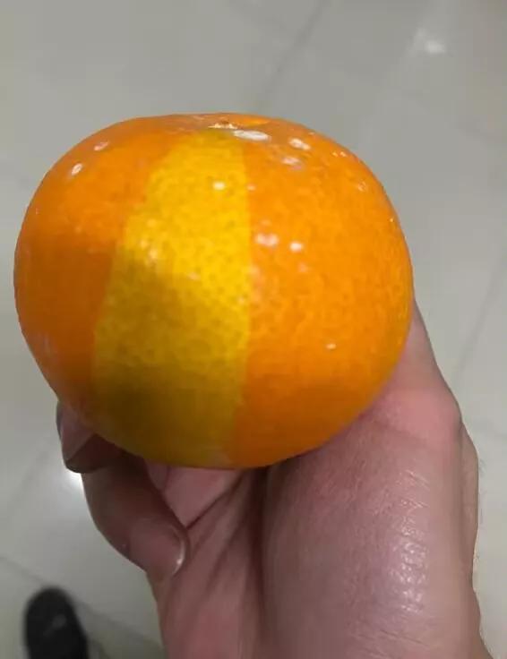 这橘子是人工上的色吗？
#橙子