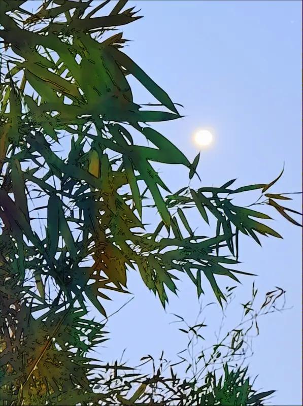 看到“竹影清风摇月色”这个上联，瞬间来了兴致。这上联营造出一种清幽雅致的意境，竹