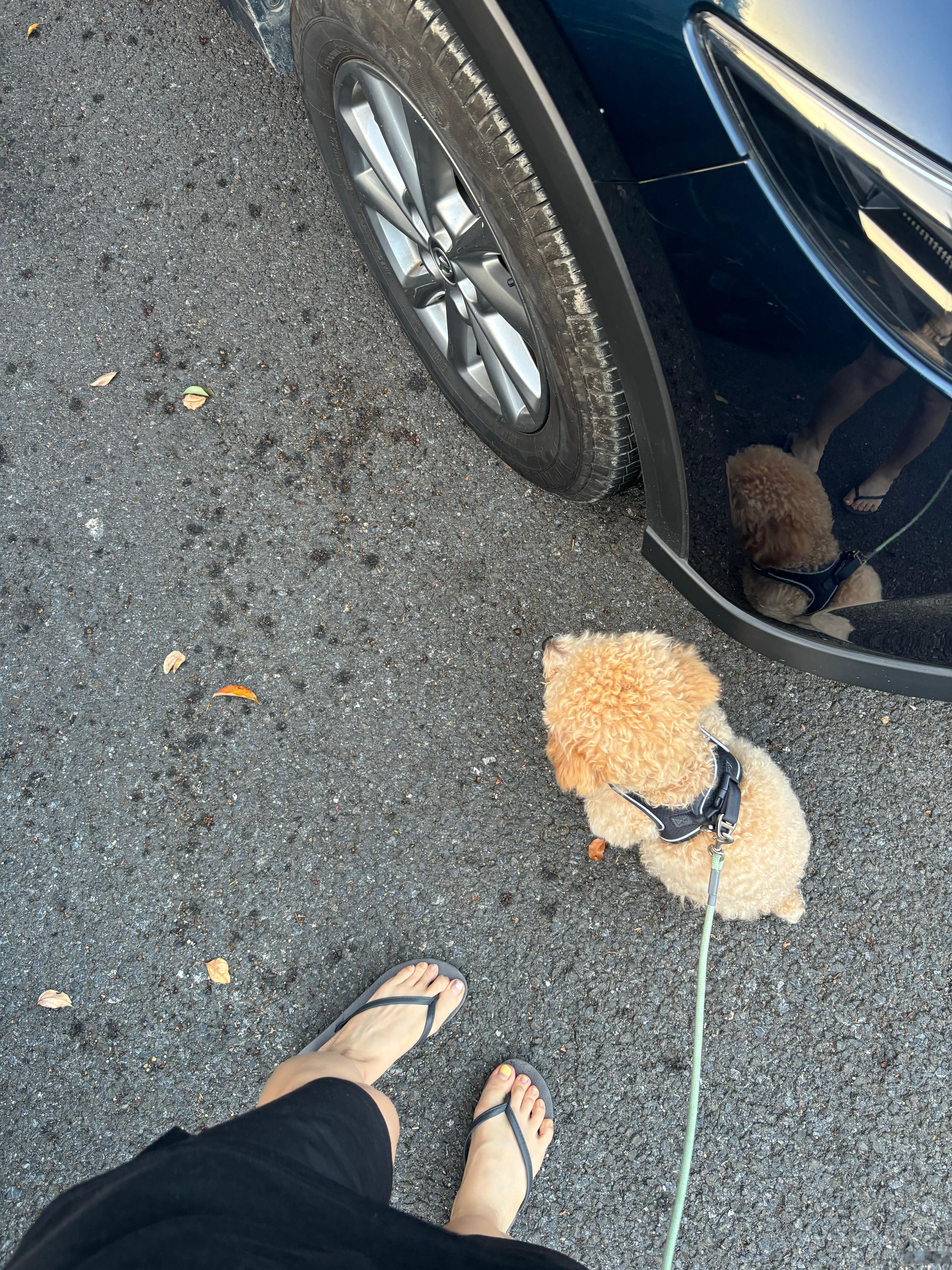 这个时候还在穿短裤 南方人太享福了吧去看日出啦 等我的图哦 💏 