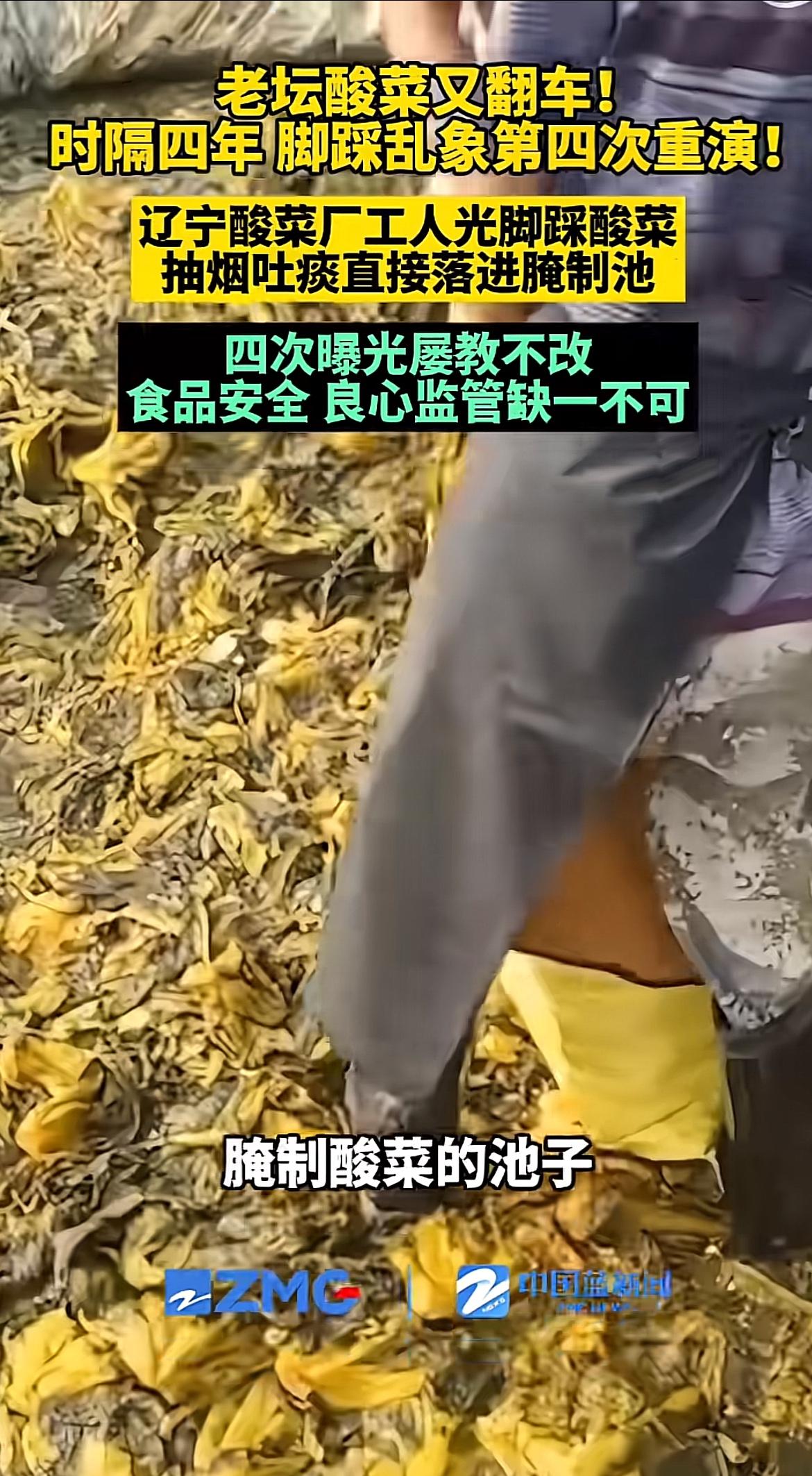 辽宁一家酸菜工厂被曝光，工人赤脚踩在腌菜池内作业，一边抽烟一边向酸菜池吐痰，生产