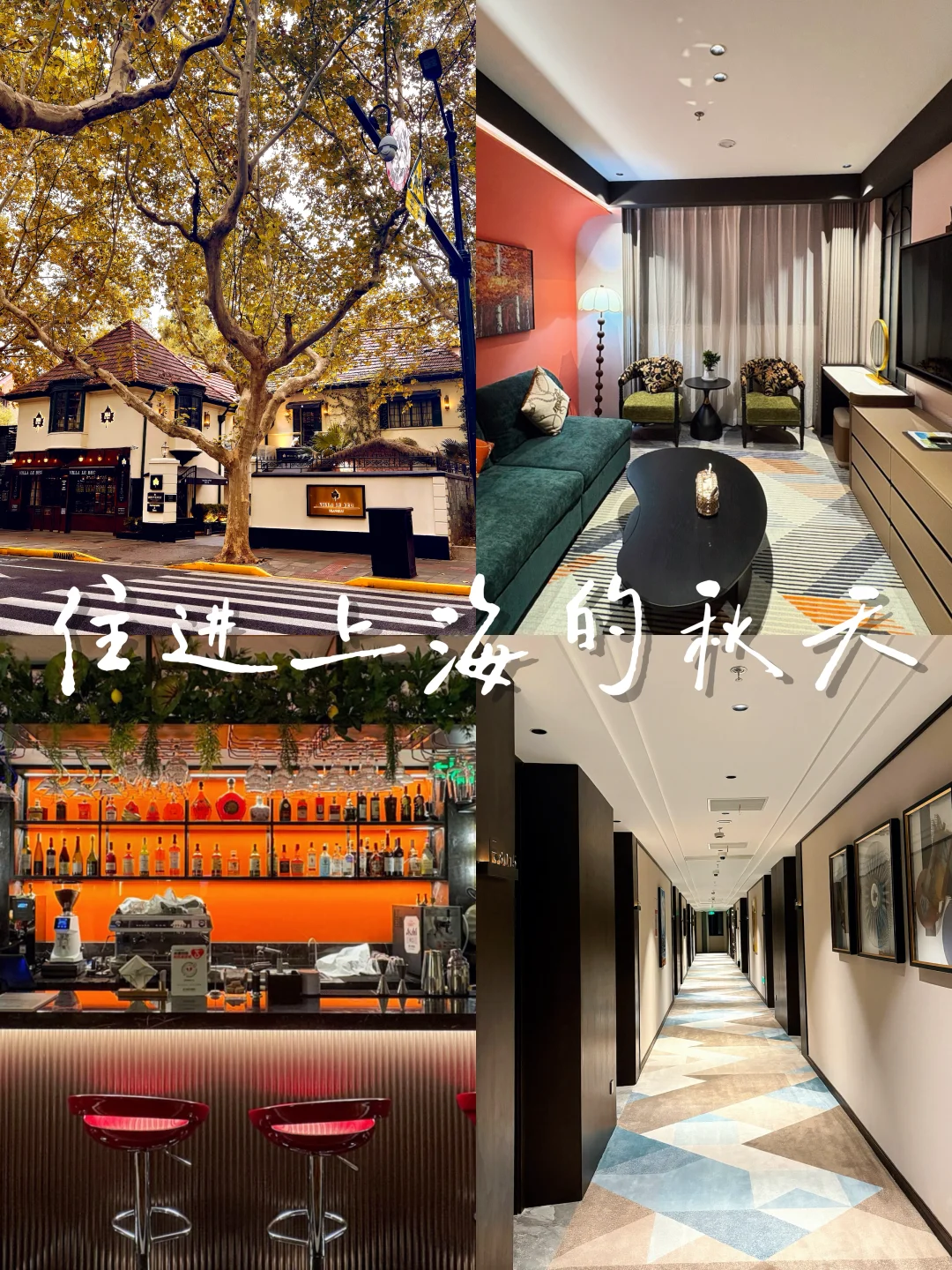 住进上海的秋天🍂发现小众花园酒店