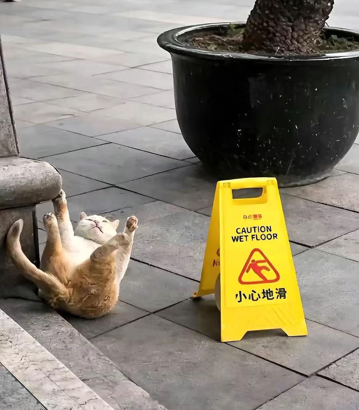 都让你小心地滑了。 