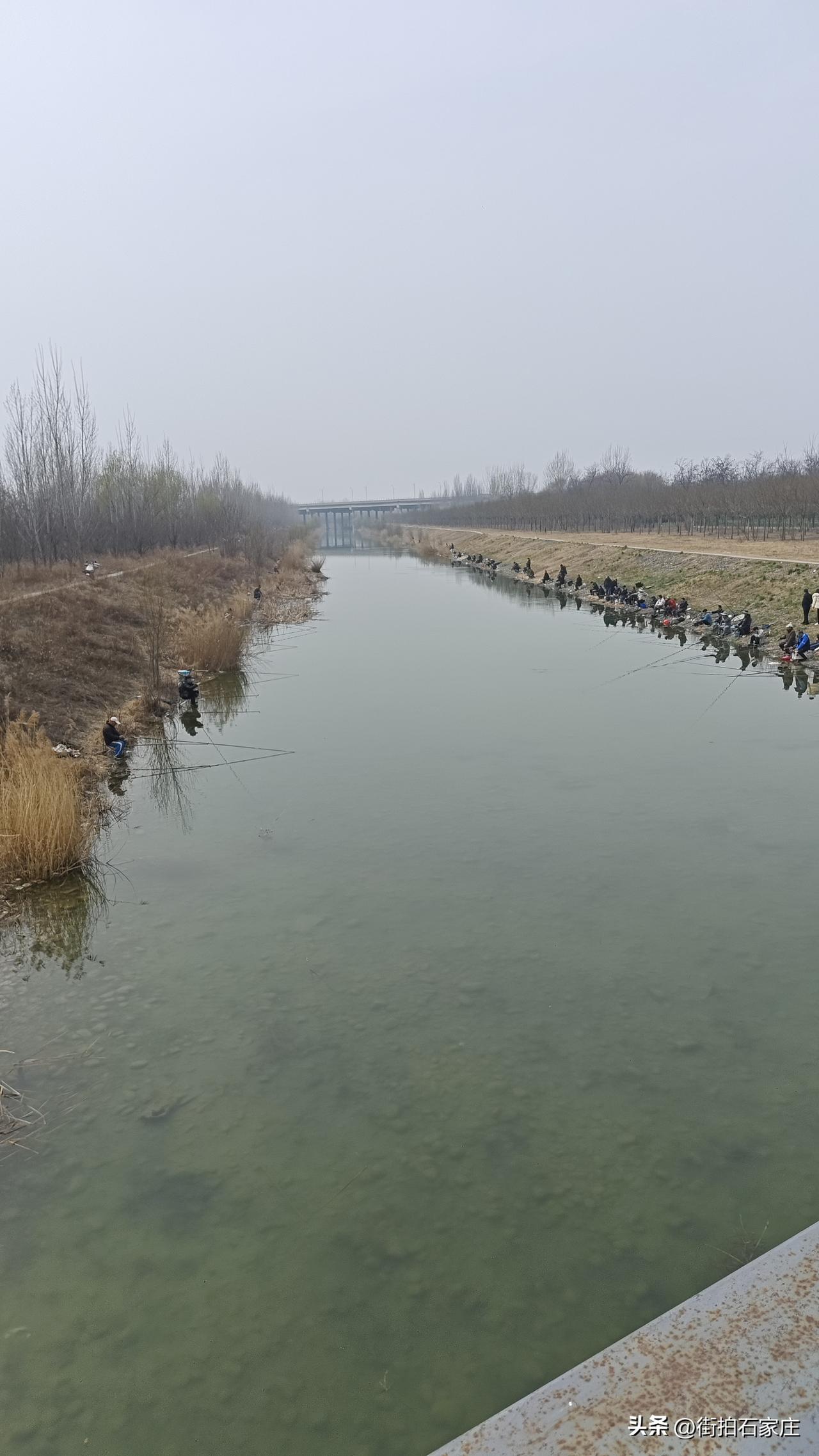 滹沱河钓鱼的人太多了，一条小河沟，至于吗？
记得2015年，滹沱河钓鱼人还没多少