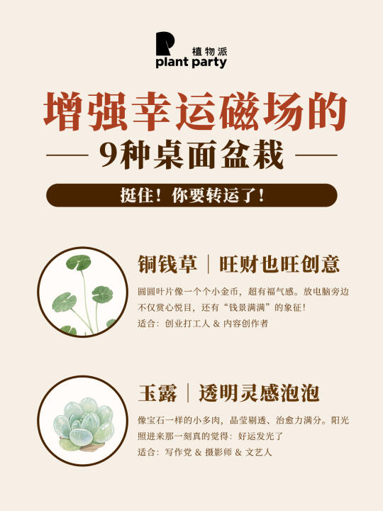 植物杀手友好🔥帮打工人转运🔥盆栽合集