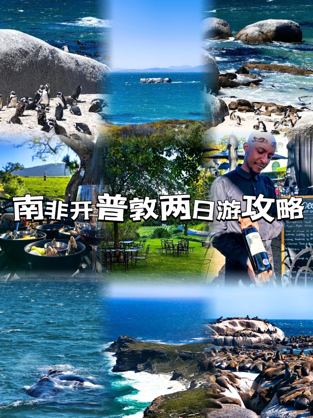 南非开普敦旅行两日游攻略（含赫曼努斯）