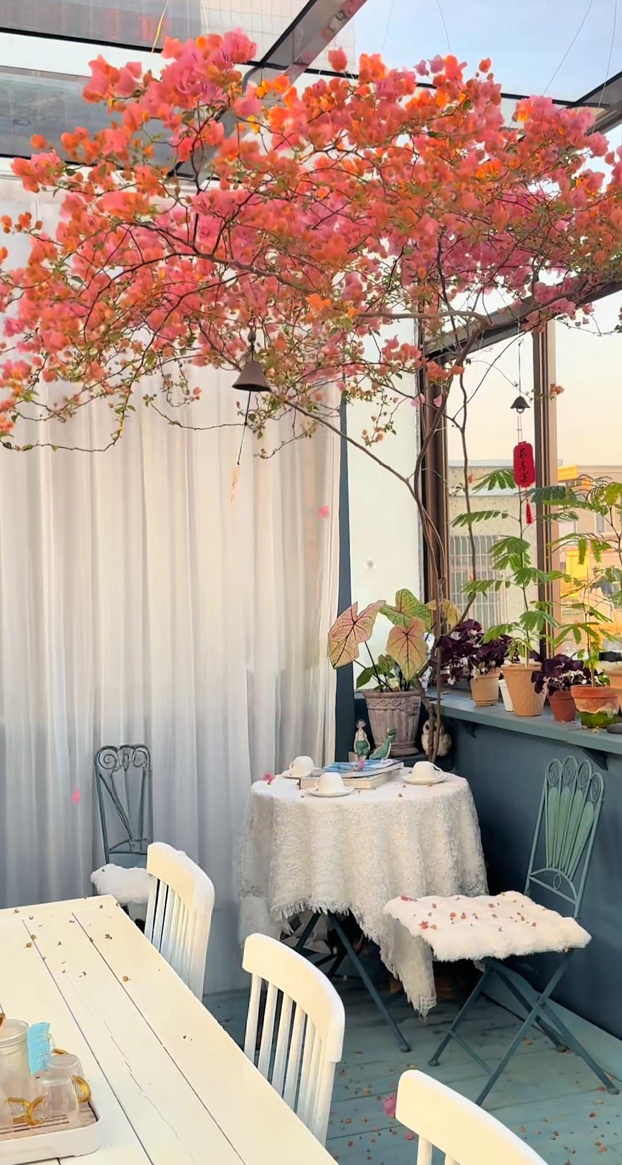 有了这样的一个小屋子，
我日日夜夜不想出门了。
[微笑][微笑][微笑]