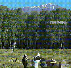 “不作死就不会死！”新疆阿勒泰这一幕，真的完美诠释了什么叫明知危险，偏要以身试险