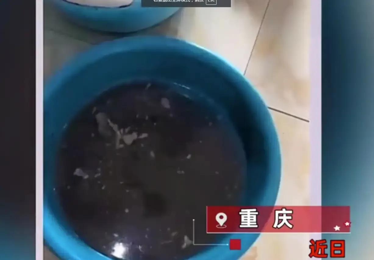 “乌鸡掉色了...”重庆一女子在网上买了4只无极，才花了88块钱。女子觉得价格挺