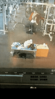 哈哈，雄性生物秀开屏这场景太逗了。就像哈尔滨北方森林动物园“爱鸟周”上，雄性蓝孔