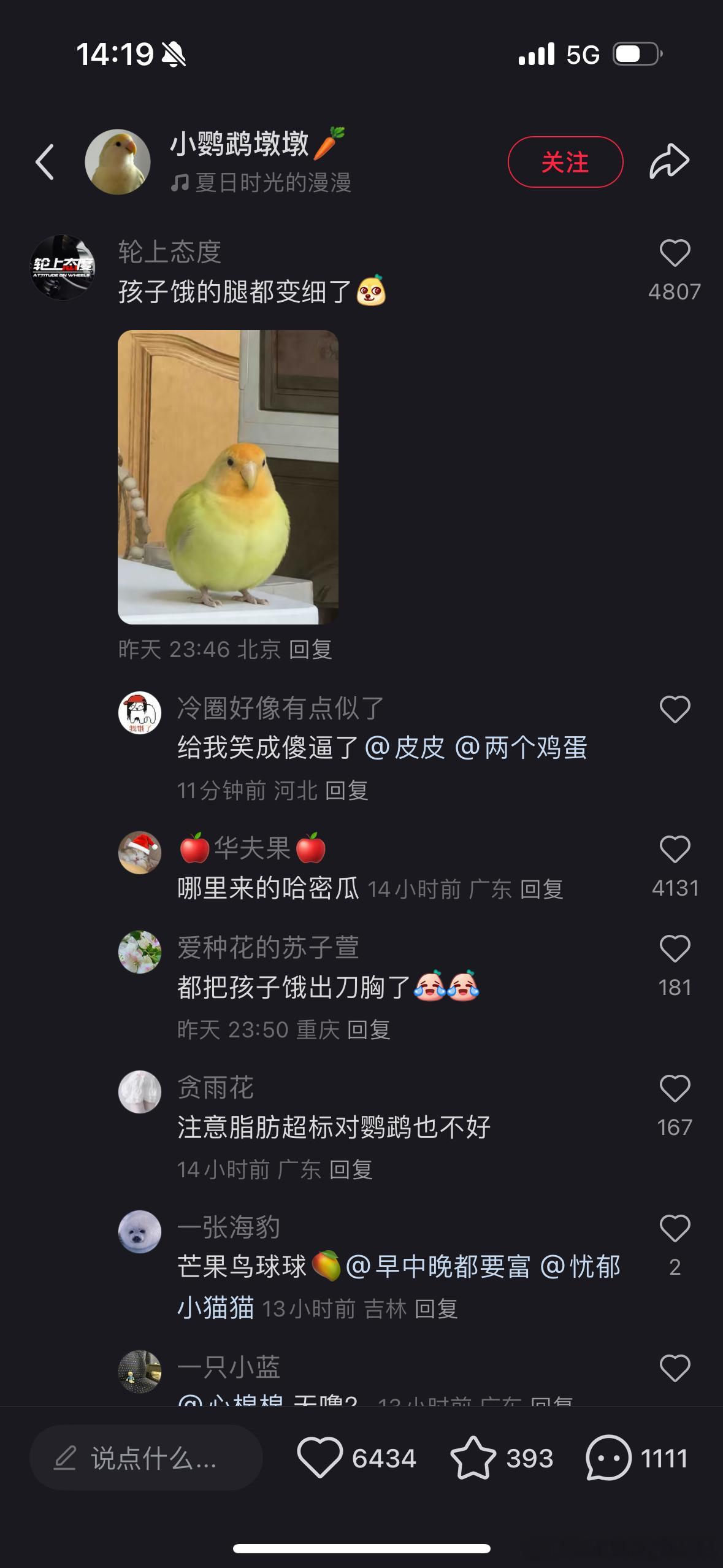 小红书第一个五千赞内容来自家里的小鸡（点赞数还在持续增长中）小豆鸡是天生互联网圣