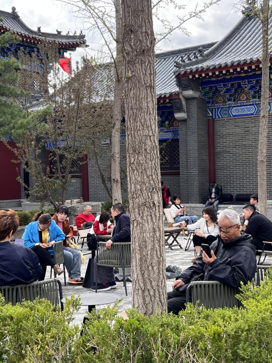 沈阳！！你真的太chill了。。。