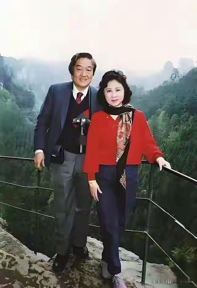 王铎：琼瑶两口子