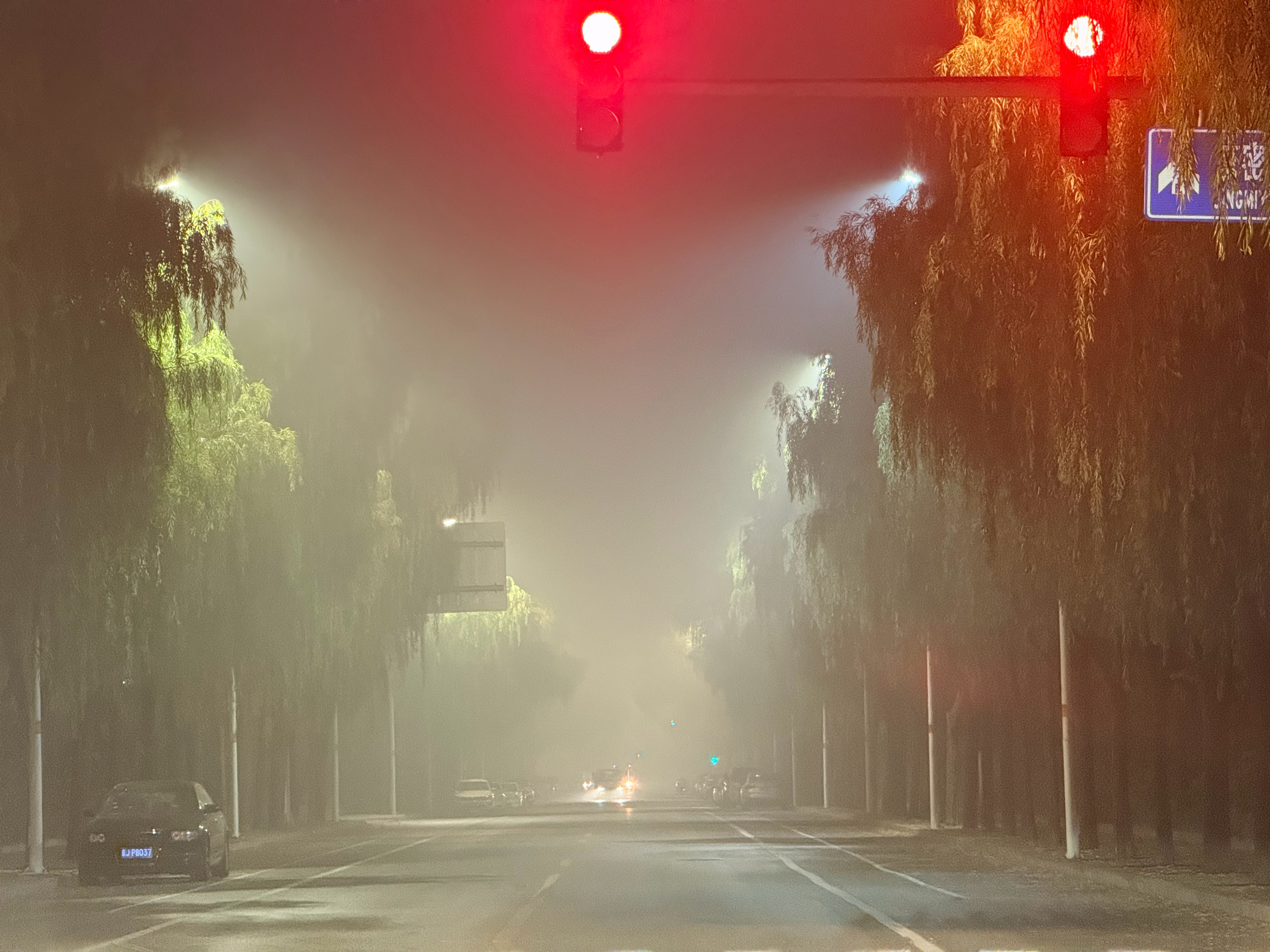 好久没这么大雾霾了 ​​​