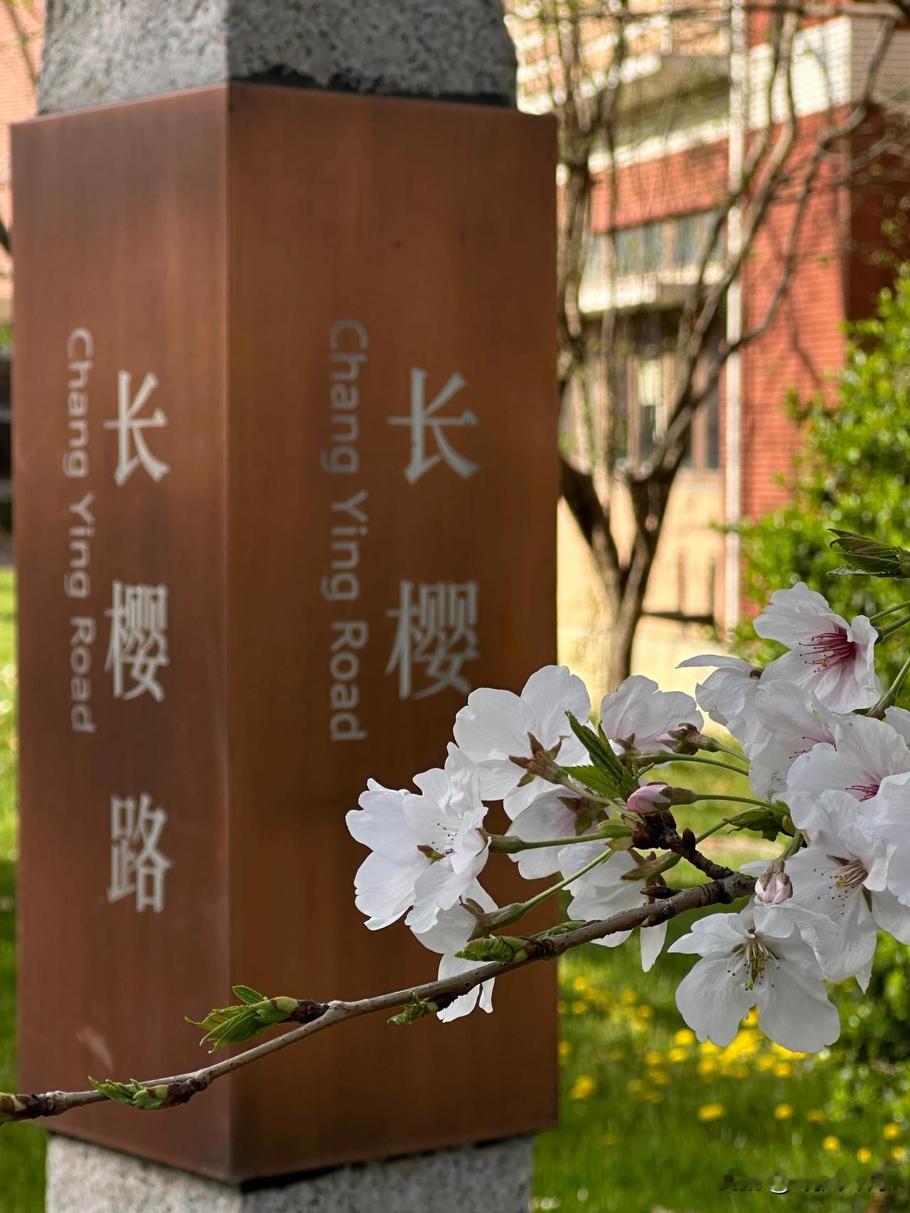 分享手机里随手拍的风景照