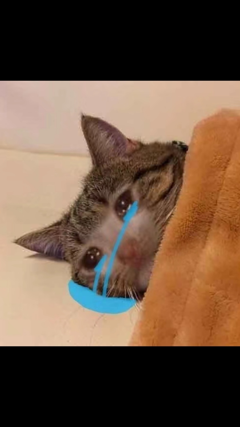 啊？四个了？能先保证了基本的质量再开吗？咱总不能“”不求最好，只求凑合”吧？ 