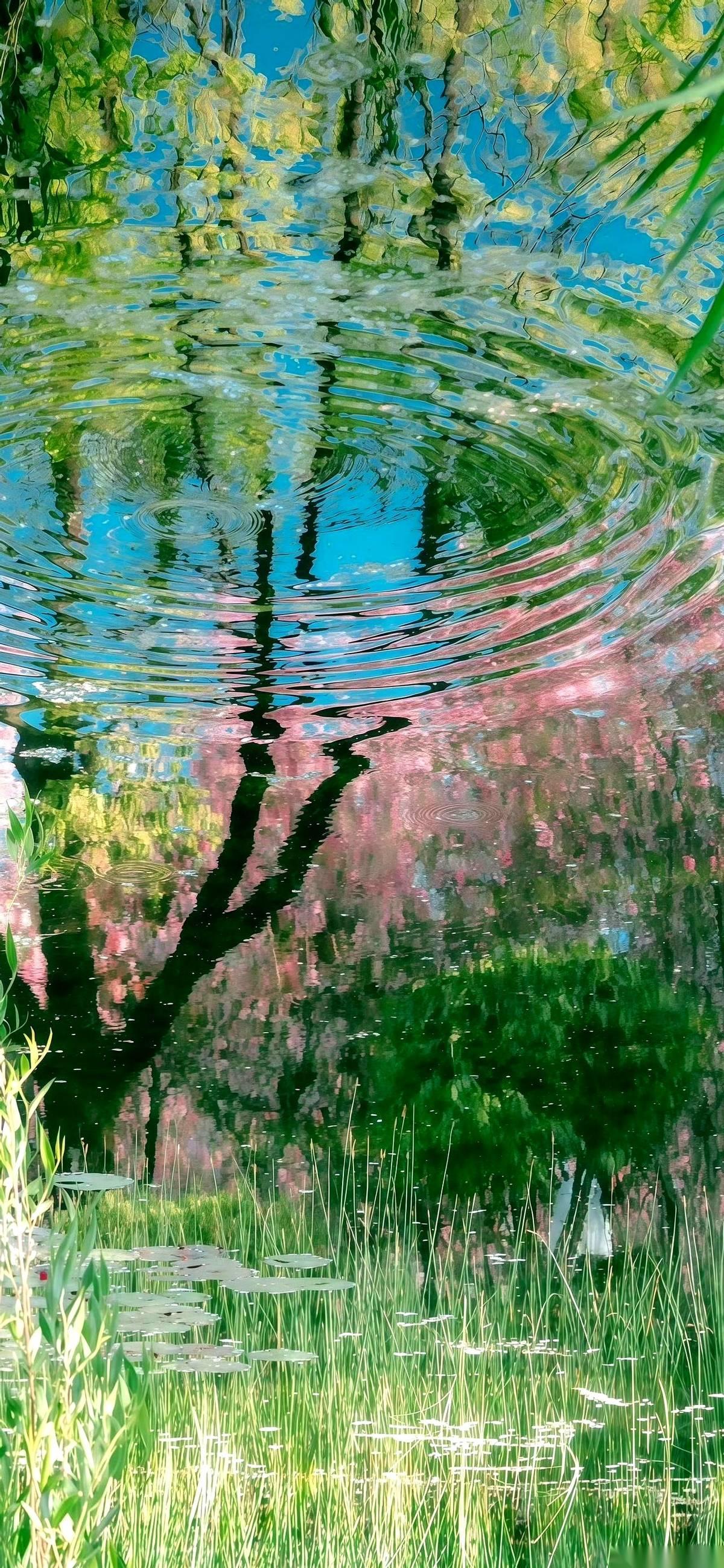 你说这世上，还有比这更寒心的事儿吗？
好心好意去村里给人家白事帮忙，结果人当场就