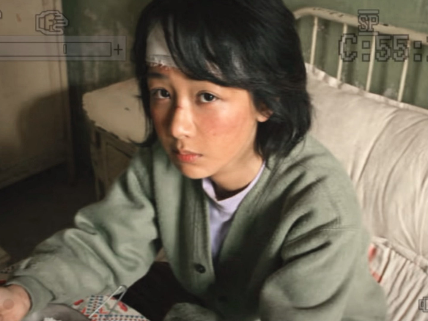 邵云飞拍的白菊 邵云飞镜头下的白菊 邵云飞拍的白菊 