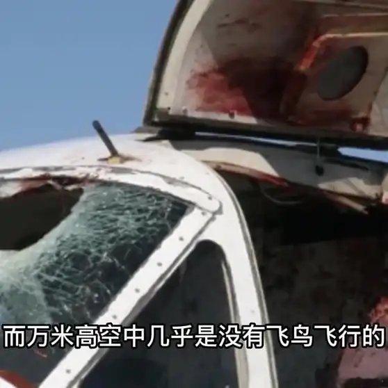 《为什么客机要飞到平流层？原来不止省油这么简单，看完恍然大悟》播放量：1040作