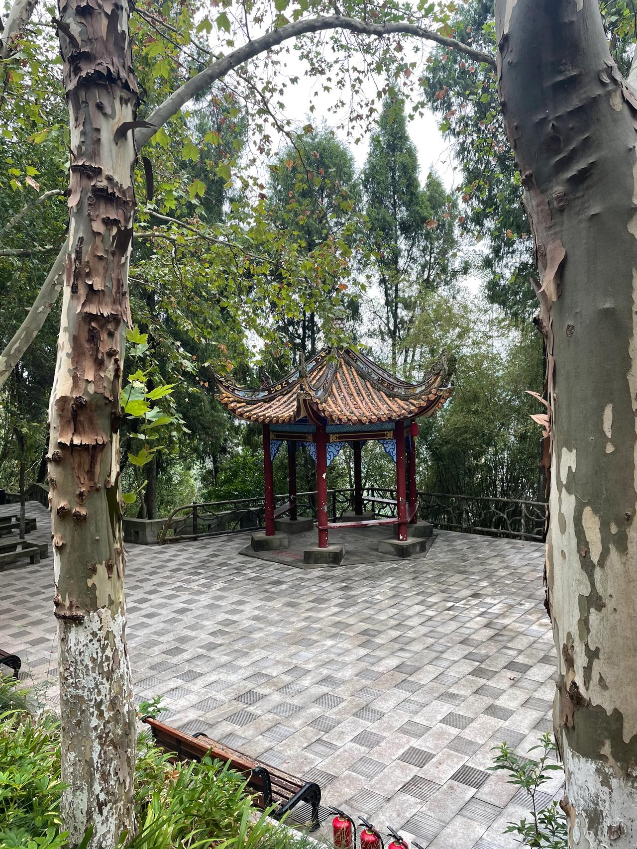 北山公园
         ——南木子
家乡北山美宁静，
散步公园空气清。
无数