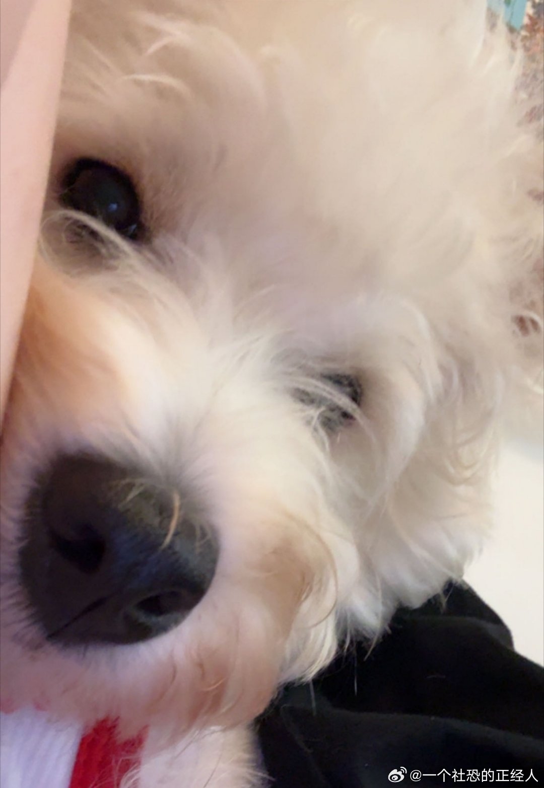 不呆小呆自拍🤳