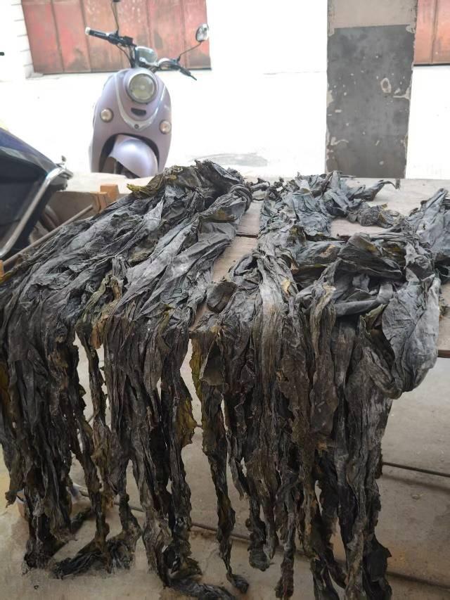 海带10元一斤，我买回来煮排骨汤喝，看这个海带好长一根啊，我就是拿了几根10块钱