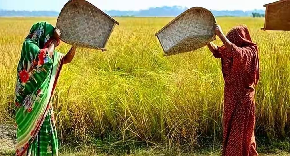 被化肥逼入绝境！莫迪发出警告：再不放行，14亿印度人将面临粮食灾难
 
曾顶着“